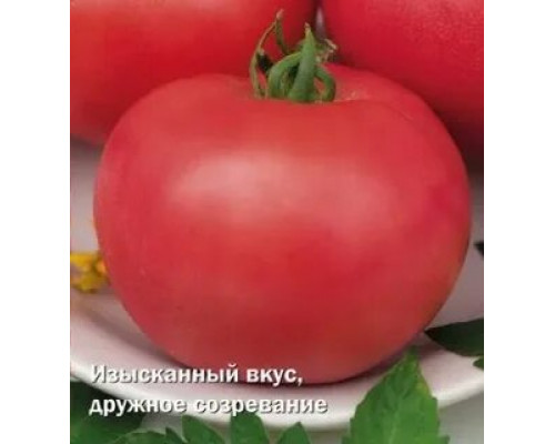 Томат Сударь